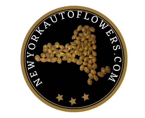 Basic Growing Class - Saturday June 1, 2024