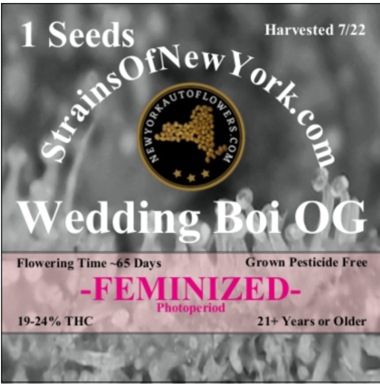 Wedding Boi OG Photoperiod Feminized