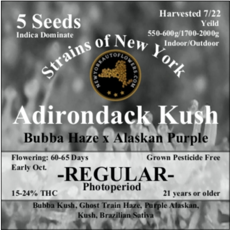 Adirondack Kush Photoperiod Regular