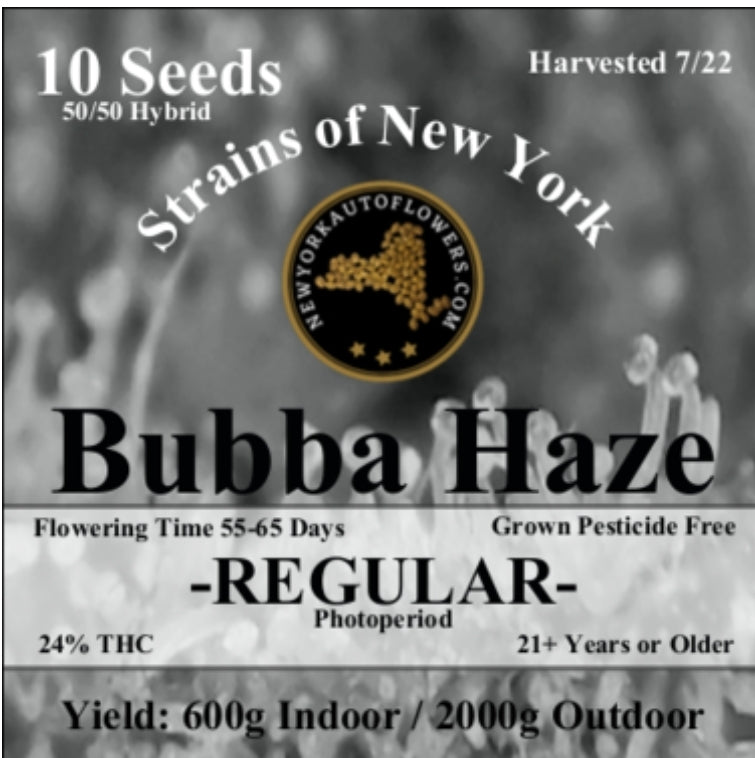 Bubba Haze Photoperiod Regular