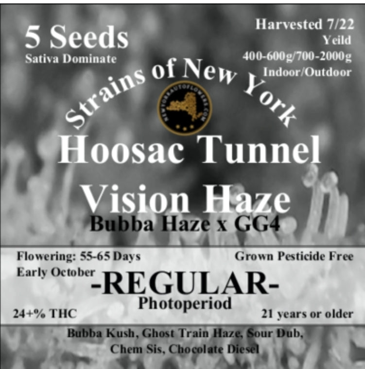 Hoosac Tunnel Vision Haze Photoperiod Regular