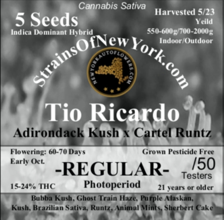 Tio Ricardo Photoperiod Regular