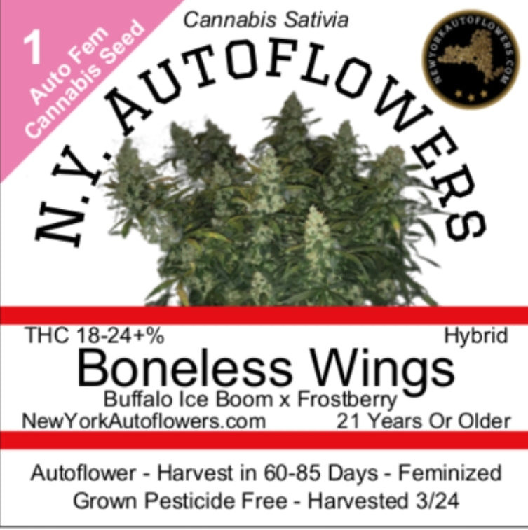 Boneless Wings Autoflowering Feminized