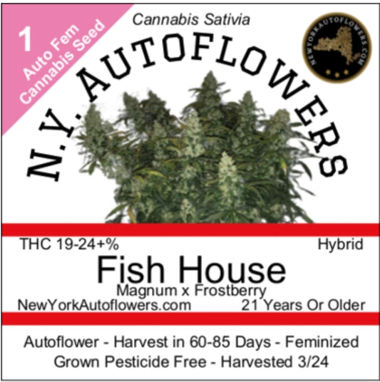 Fish House Autoflowering Feminized